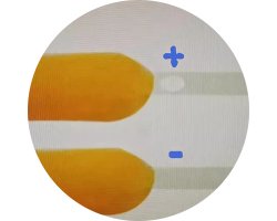 画像3: LEDフィラメント